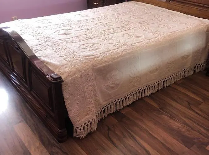 Quartos Forest Domes Seubal *